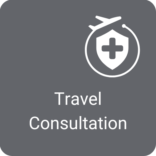 Icon of a medical shield with the words “Travel Consultation”